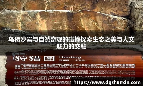 南宫ng28