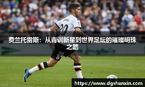 费兰托雷斯：从青训新星到世界足坛的璀璨明珠之路