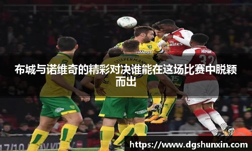 布城与诺维奇的精彩对决谁能在这场比赛中脱颖而出